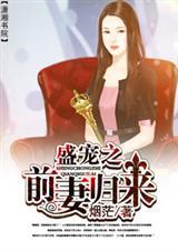 盛宠前妻老婆再来一次txt