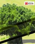 洪荒之熔炼万物