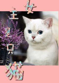 女主是猫的文