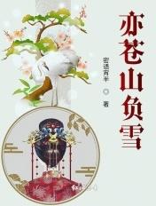苍山负雪全职