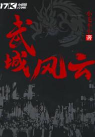武城风电项目