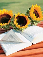 换新娘的重生文