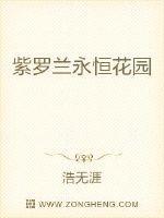 紫罗兰永恒花园女主