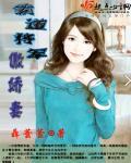 霸道将军宠妻记