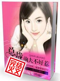 总裁前夫不许玩全文免费