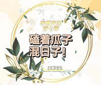 盛晚烟顾廷枭完结