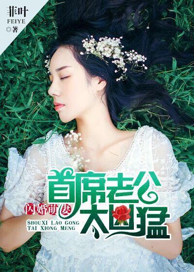 高冷首席no1全文免费阅读
