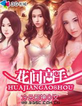 天才高手在都市目录