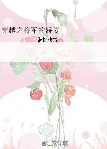 穿越之将军夫人