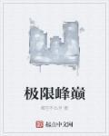 极限巅峰怎么样
