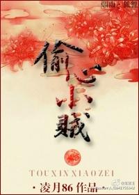偷心贼女主