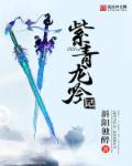 青龙吟by