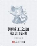 加勒比海盗九大海贼王