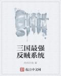 三国之大反贼系统