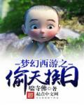 偷天盗影