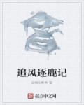 追风逐云剧透
