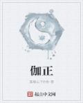 伽正确读音是什么