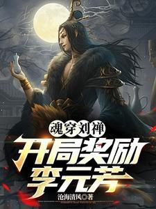 穿越刘婵