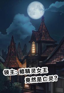 暗精领主选择