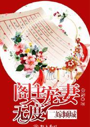 二嫁宠全文免费阅读