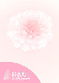 爱不言迟