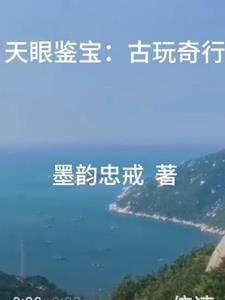 天眼看古董的电视剧