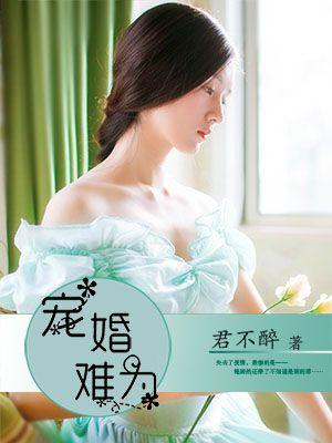 宠妻难当全文免费阅读