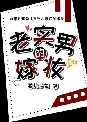 老实男的嫁妆by