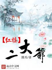 红楼二爷修仙