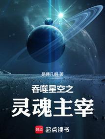吞噬星空之灵魂主宰全文