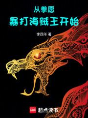 从拳愿暴打海贼王开始无弹窗