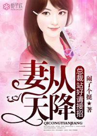 妻从天降苏紫洛