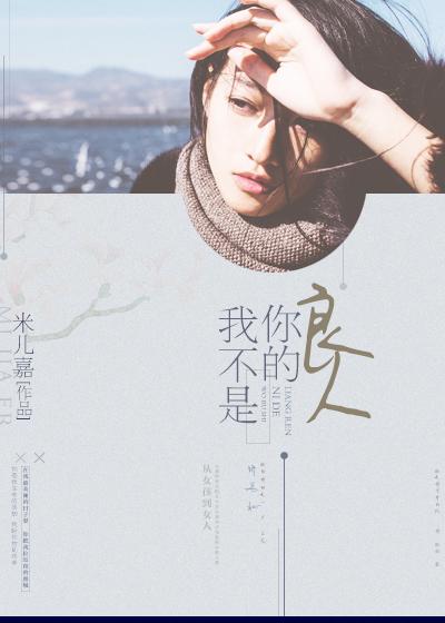 我不是你的良人歌词