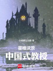 霍格沃茨中国式教授免费阅读