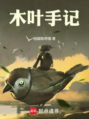 木叶手记最新章节