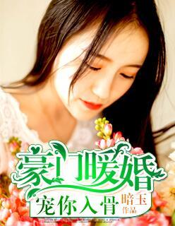 豪门暖婚之宠妻上瘾