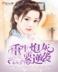 重生炮灰逆袭路