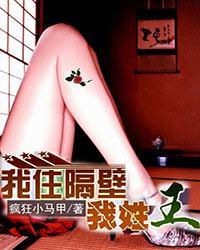 我住隔壁我姓王有声