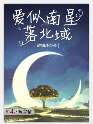 爱似流星歌曲原唱