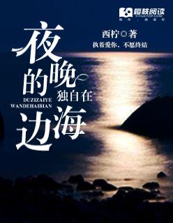 独自在夜晚的海边奖项