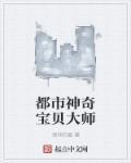 神奇宝贝大师