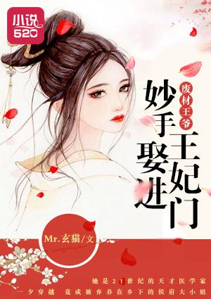 废柴王爷绝世妃全文免费阅读