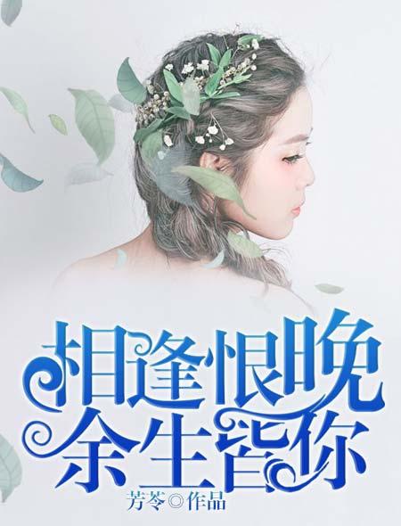 相逢恨晚全文免费阅读