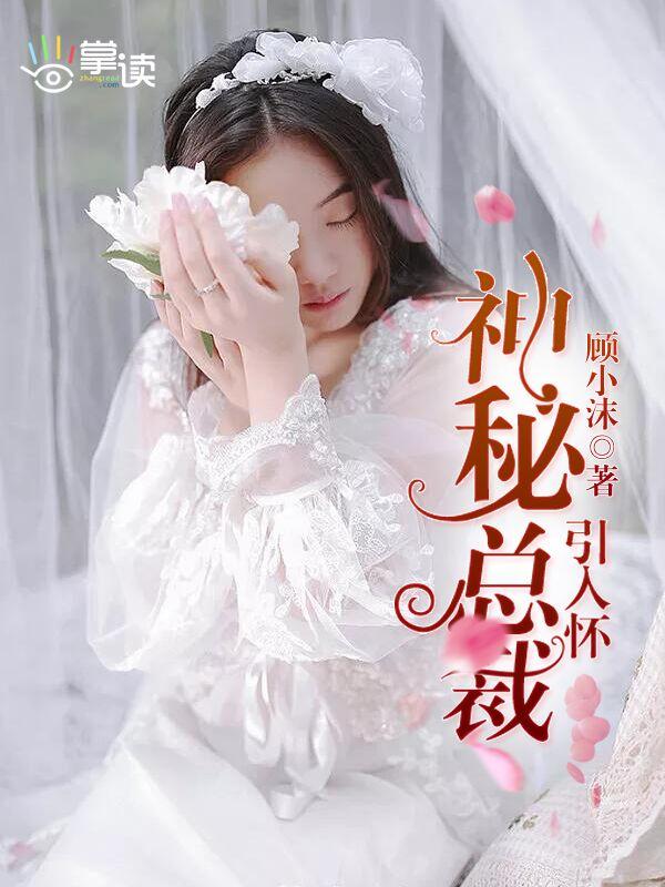 神秘总裁引入怀免费阅读全文