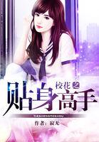 校花的贴身高手多少万字了