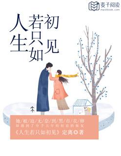 人生若只如初见的文案
