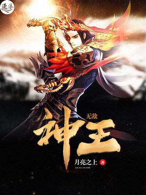 无敌神王凌峰动画片全集