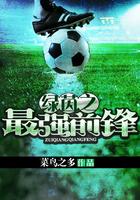 绿茵之巅最佳球员搭配