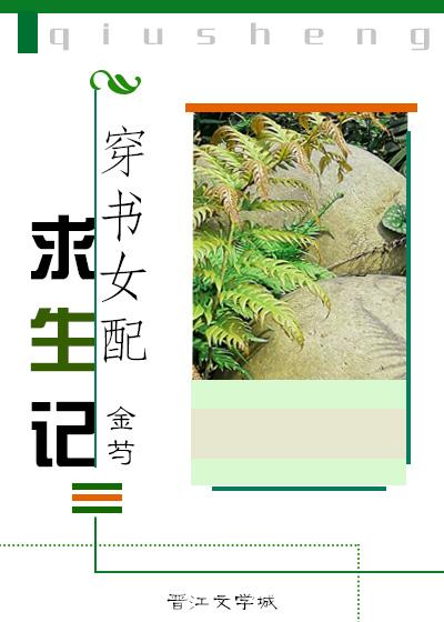 穿书之女配求生指南作者糖布丁