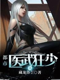都市医武狂少作者紫辰风